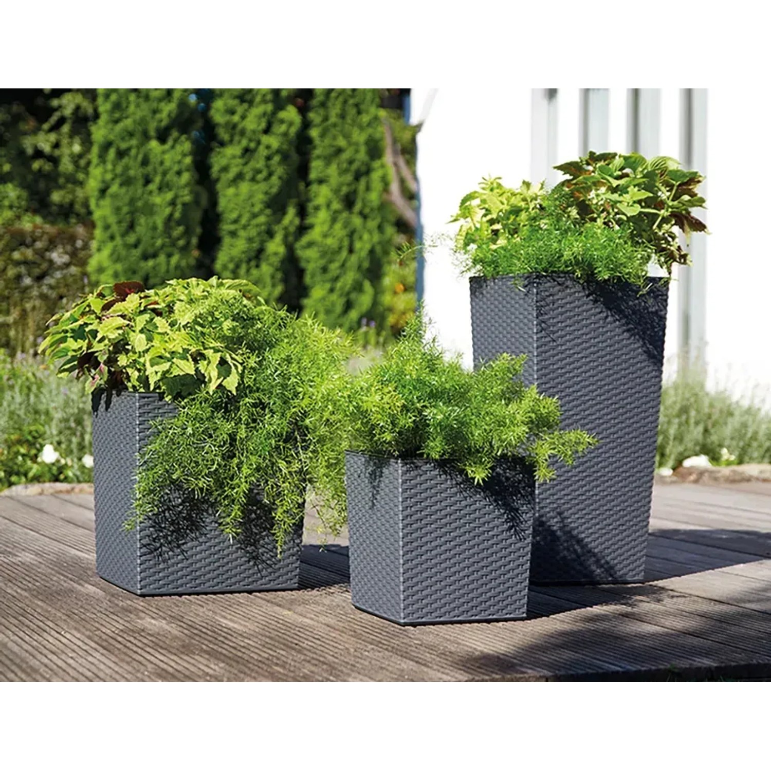 Siena Garden Pflanzsäulen Nizza Graphit, 3 Größen mit Pflanzen auf Holzterrasse.
