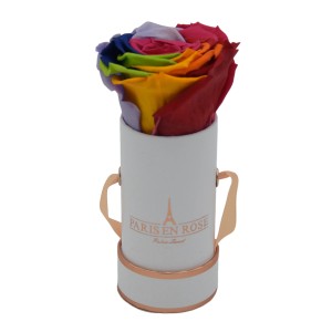 Rosenbox mit regenbogenfarbiger Rose (Ø 5 cm) in weißer Box. Dekorativer Blumenstrauß.