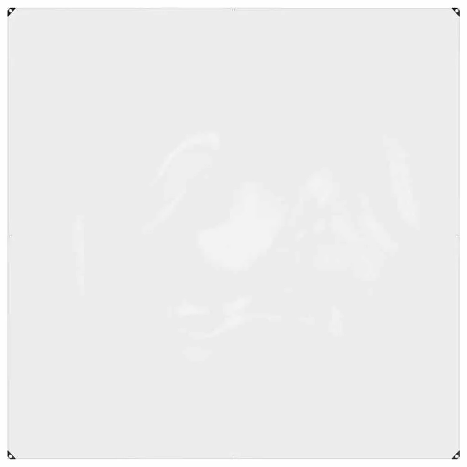 vidaXL Klare Plane mit Ösen 2x2 m PVC 4018591