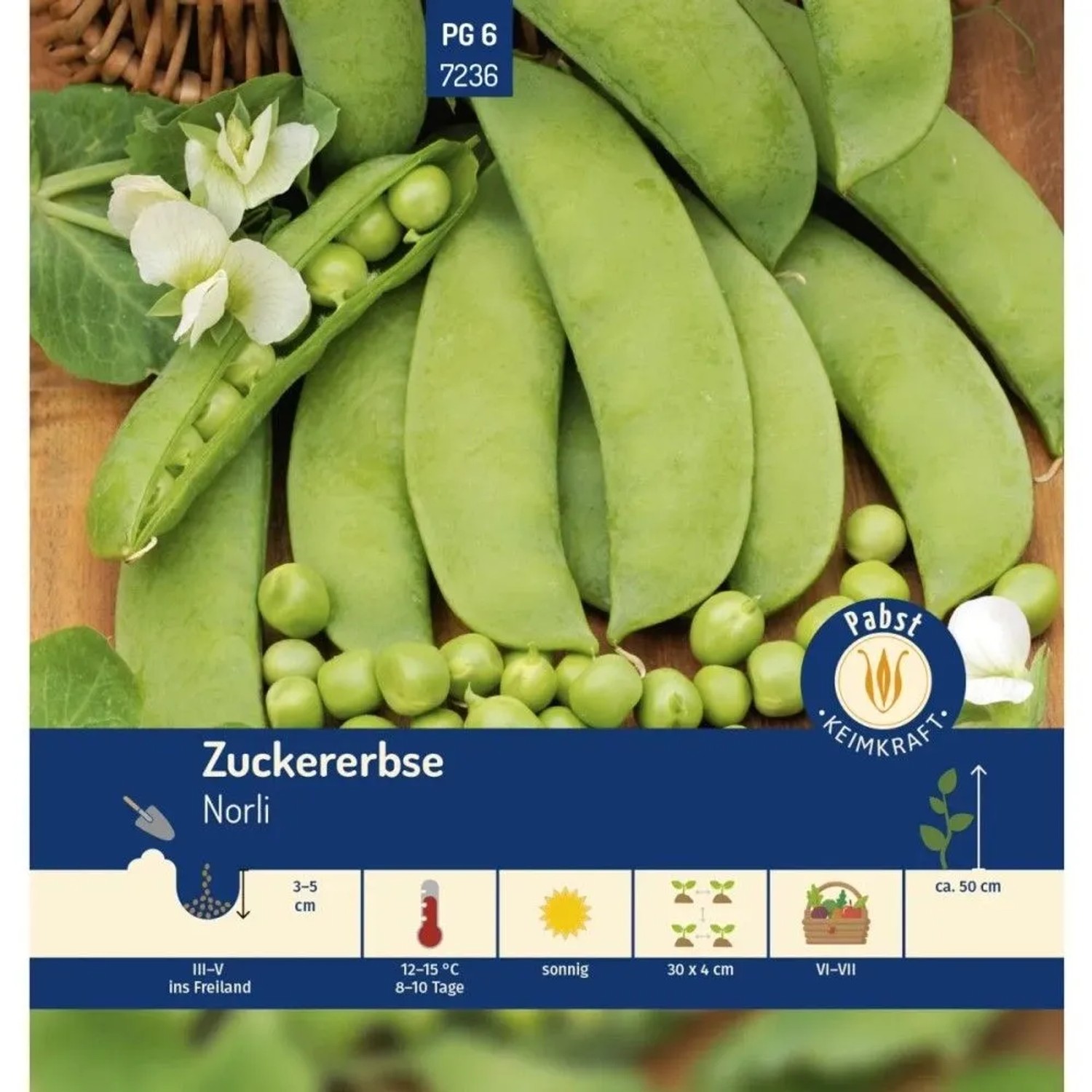 Pabst Keimkraft Zuckererbse Früh & Zart Norli Saatgut