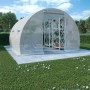 furnicato Gewächshaus 9m² mit Pflanzenregal im Garten.