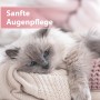 Katze entspannt auf Decke, Felisept Augenpflege-Pads für sanfte Reinigung.