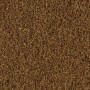 Tetra Delica Mückenlarven, gefriergetrocknetes Spezialfutter für tropische Zierfische.