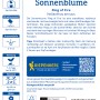 Kiepenkerl Sonnenblume Ring of Fire Samenpackung, mehrfarbige Helianthus für farbenfrohe Blumen.