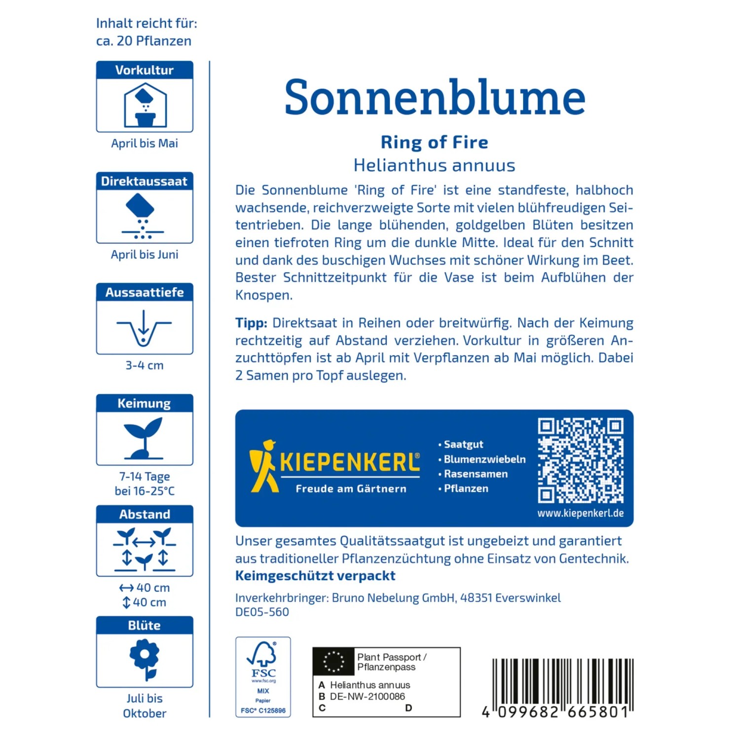 Kiepenkerl Sonnenblume Ring of Fire Samenpackung, mehrfarbige Helianthus für farbenfrohe Blumen.