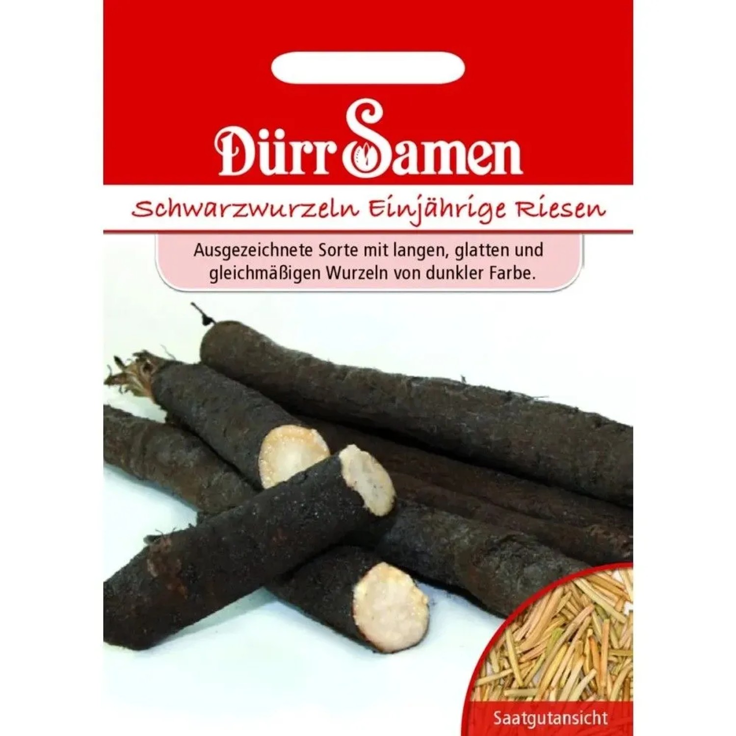 Dürr Samen Schwarzwurzeln Einjährige Riesen Saatgut