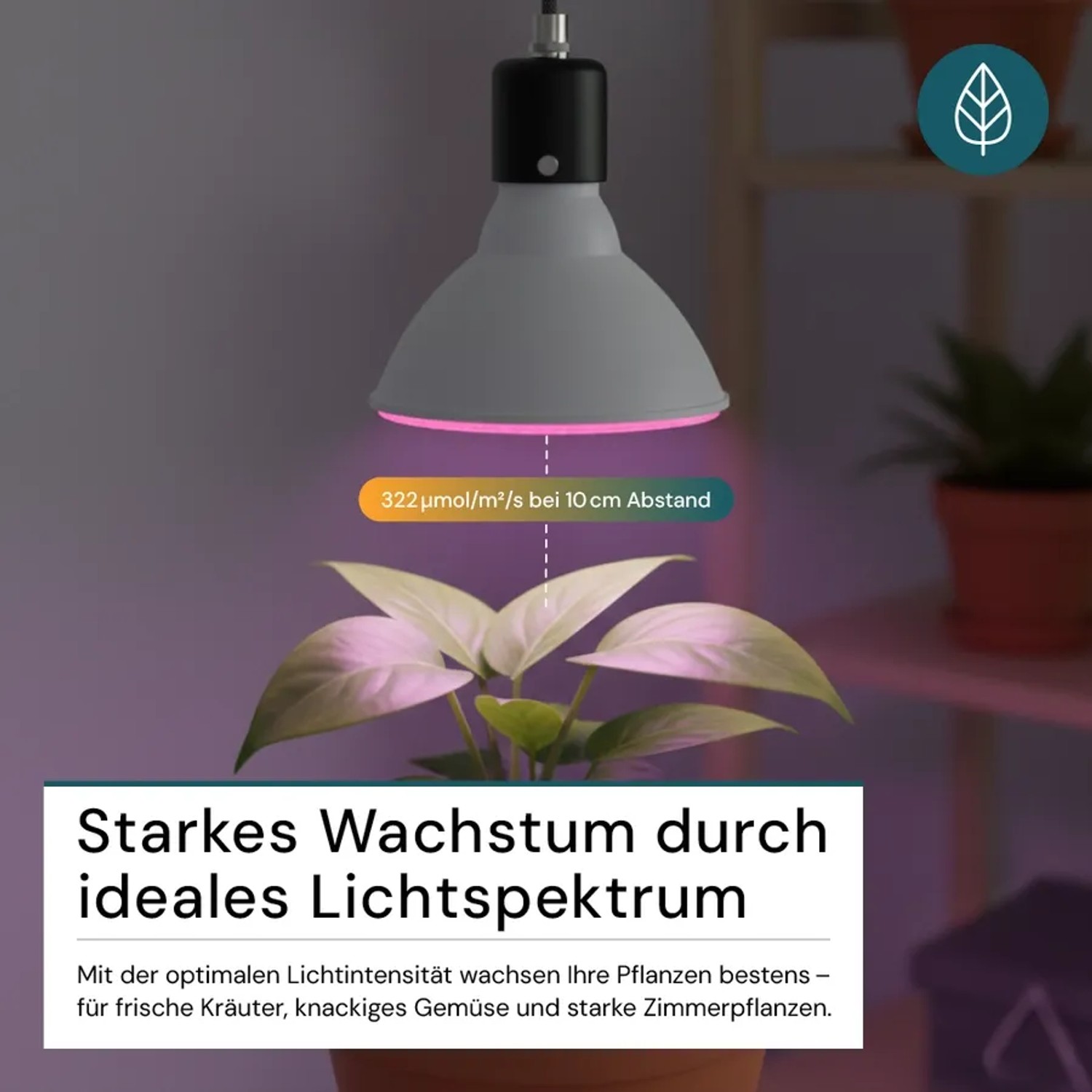LUXULA LED Pflanzenlampe E27 18W Vollspektrum Grow Light Zimmerpflanzen Licht 1200K Warmweiß_3