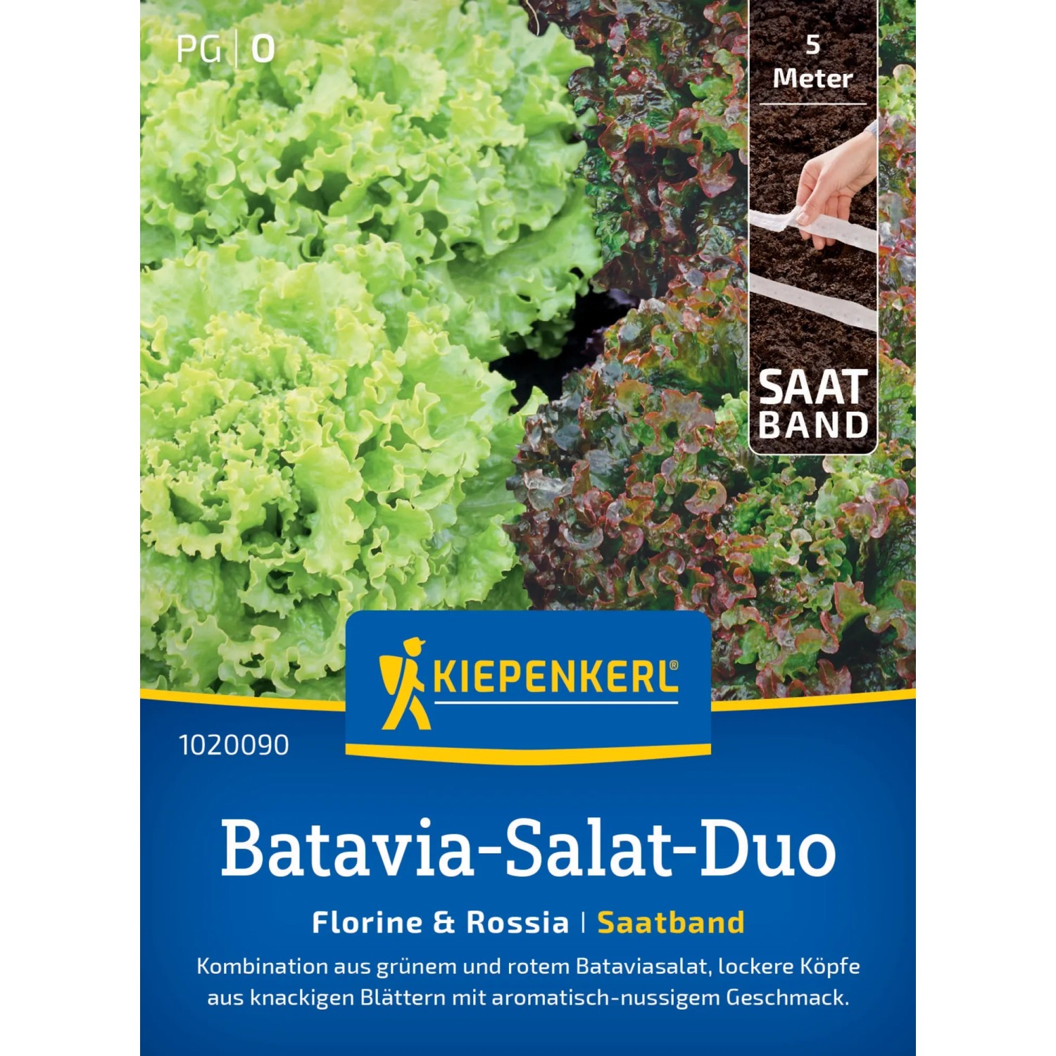 Kiepenkerl Batavia-Salat-Duo "Florine & Rossia"