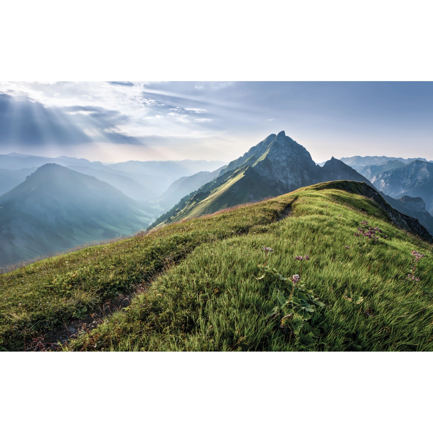 Sanders & Sanders Fototapete Landschaft Grün und Grau 400 x 250 cm 612388 günstig online kaufen