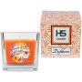 HS Candle Duftkerze Happy Birthday im Glas, Honigmelone Cupcake Duft.