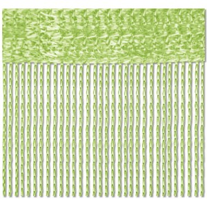 Hellgrüner Fadenvorhang (90x245cm) als Gardine oder Raumteiler.