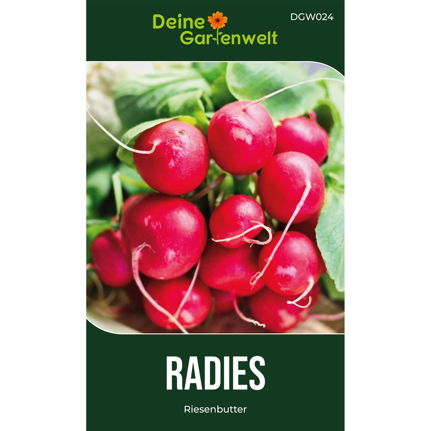 Deine Gartenwelt Radieschen Riesenbutter Samen
