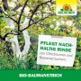 Baum mit Neudorff Bio-Baumanstrich. Schützt und pflegt die Rinde vor Umwelteinflüssen.