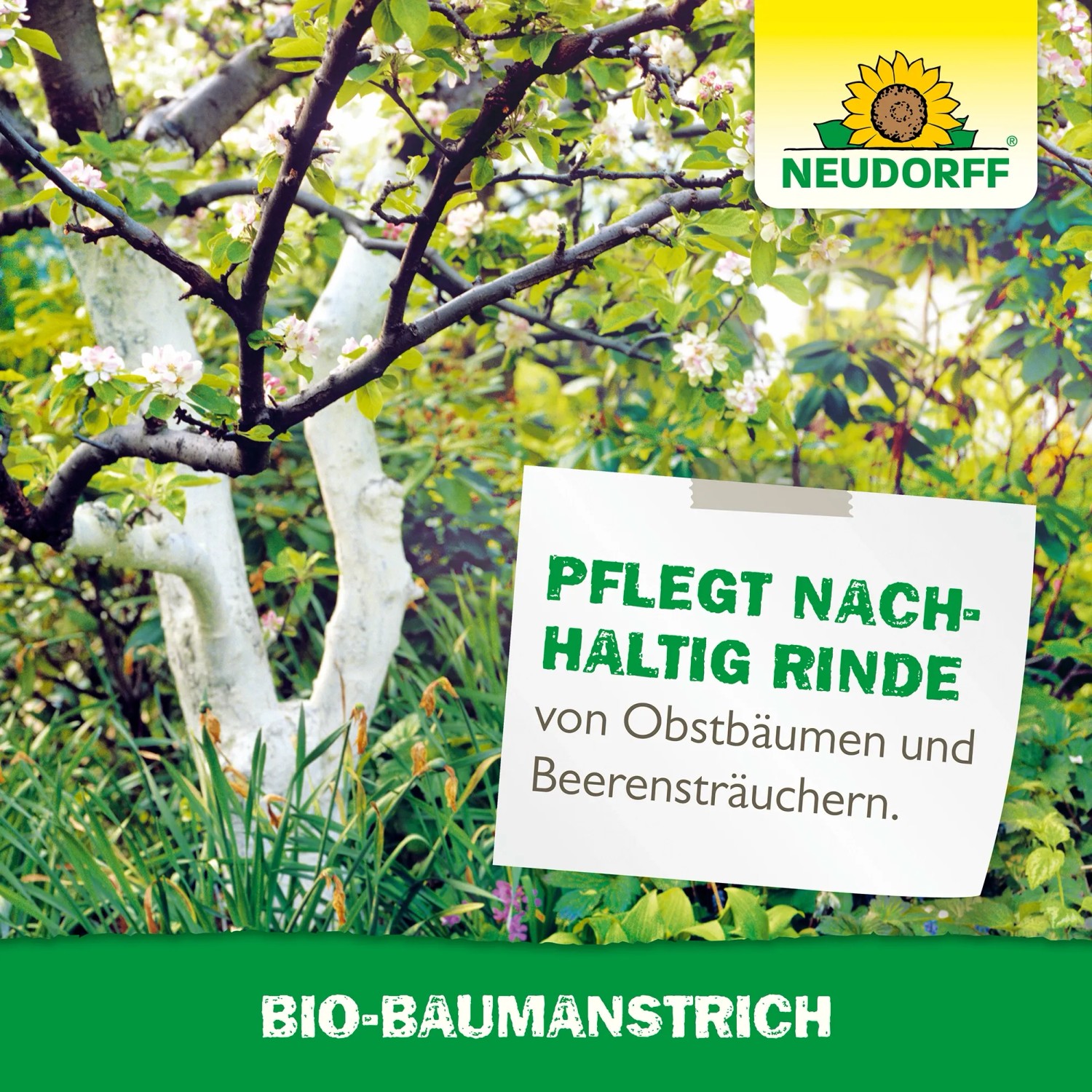 Baum mit Neudorff Bio-Baumanstrich. Schützt und pflegt die Rinde vor Umwelteinflüssen.