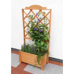 Holz Rankkasten Botanica (69x140cm) mit Rankhilfe und Bepflanzung.
