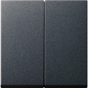 Gira System 55 Wippe, 2-fach, in Anthrazit für Serienschalter.