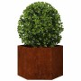 vidaXL Pflanzkübel Rostig 60x60x45 cm Cortenstahl 823675_3