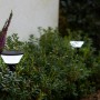 Lutec Karlo Solar-Wegeleuchte, 45 cm, schwarz, mit LED, im Garten zwischen Pflanzen.