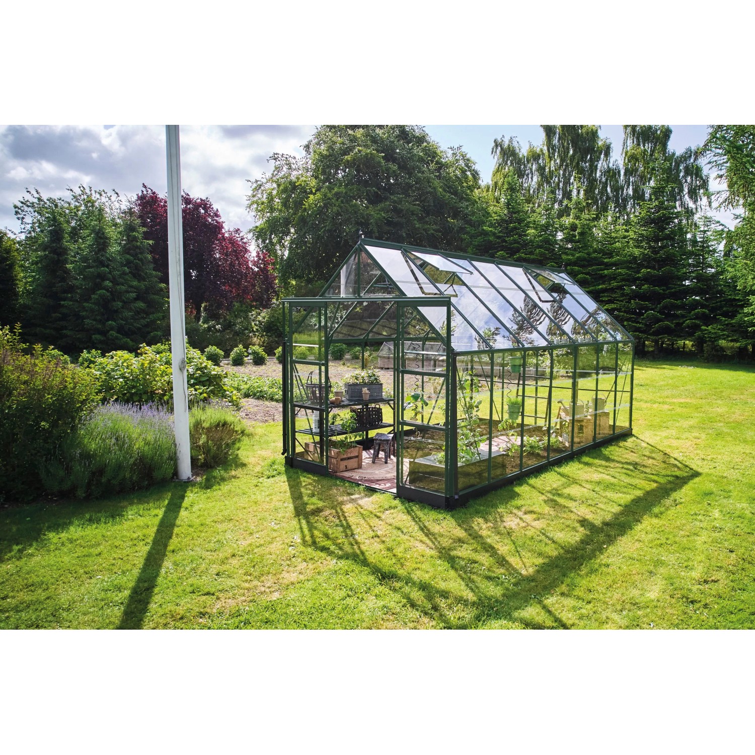 Halls Gewächshaus Icon 8 Grün 11,2 m² günstig online kaufen
