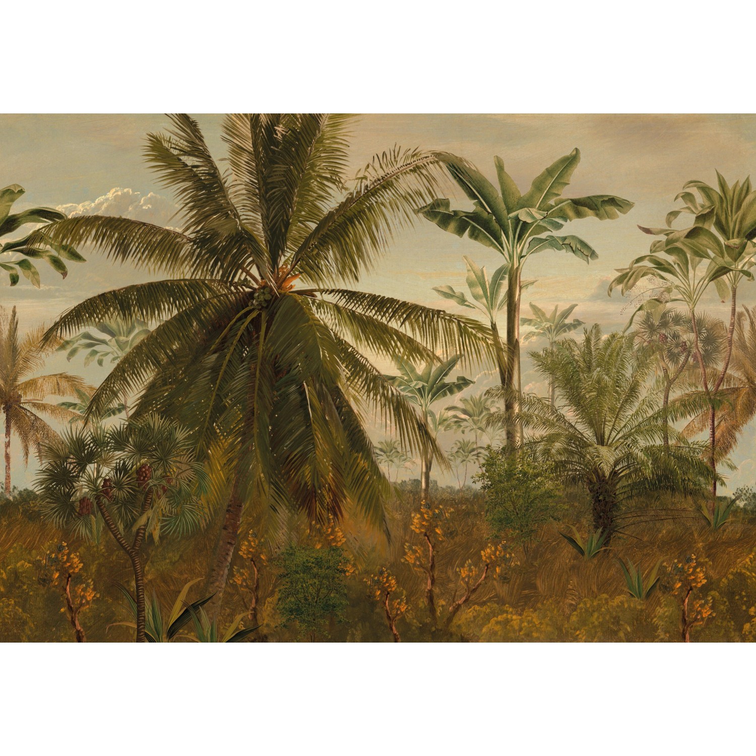 LOOKS Fototapete Vlies Junglemorningsun 2,7 m x 3,5 m FSC®