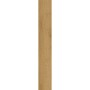Click-Vinylboden Prato Eiche Beige-Sand, Detailansicht der Holzstruktur.