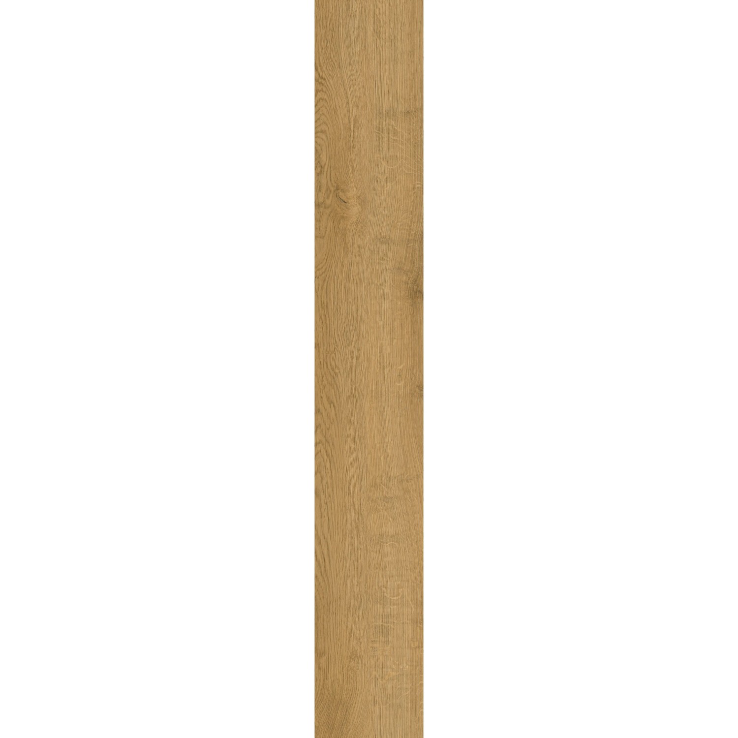 Click-Vinylboden Prato Eiche Beige-Sand, Detailansicht der Holzstruktur.