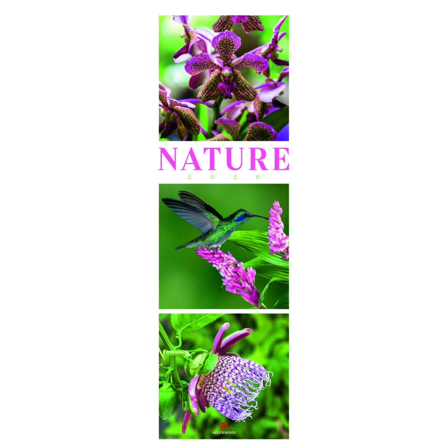 Nature Triplet-Kalender 2026 günstig online kaufen