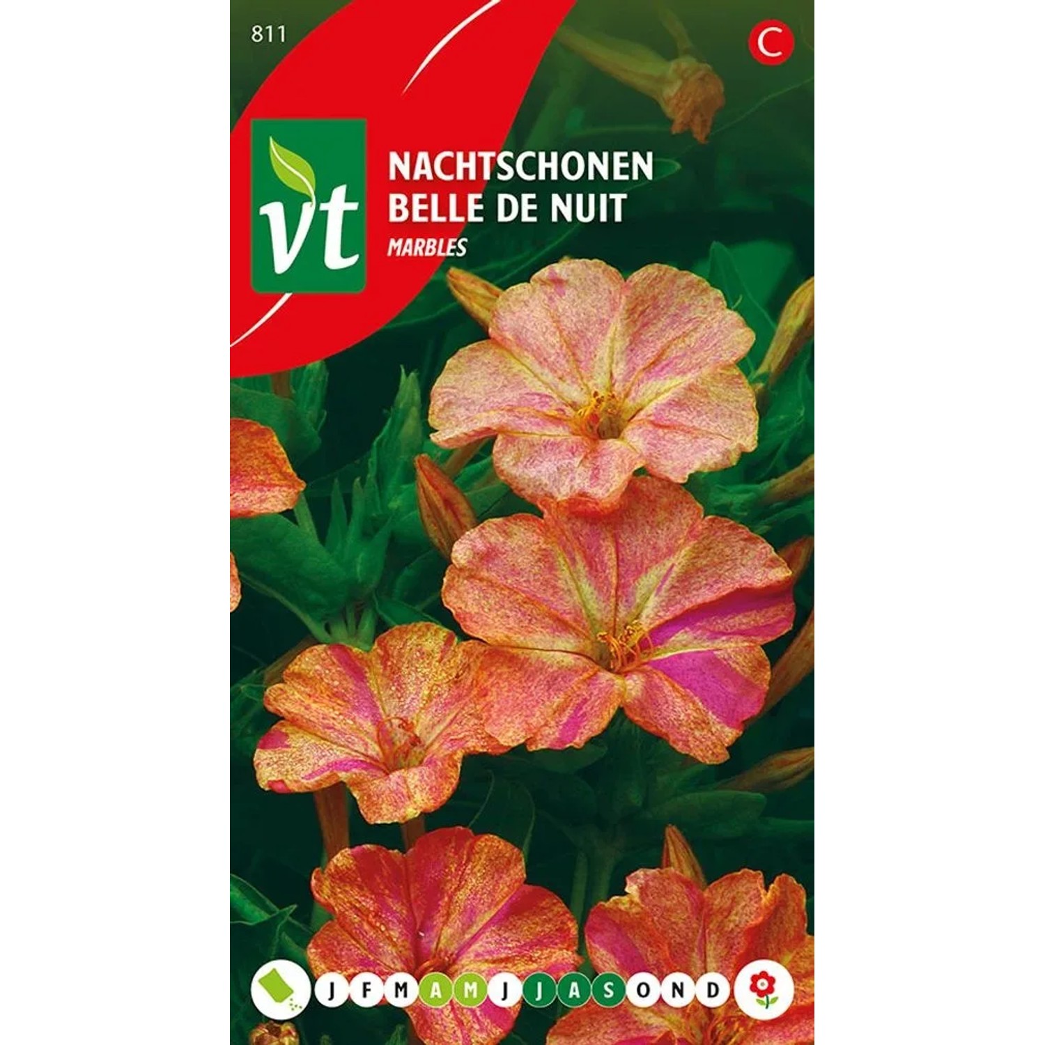 Wunderblume 'Murmelmix' Samen Ca. 1,5 g Marmorierte Blüten