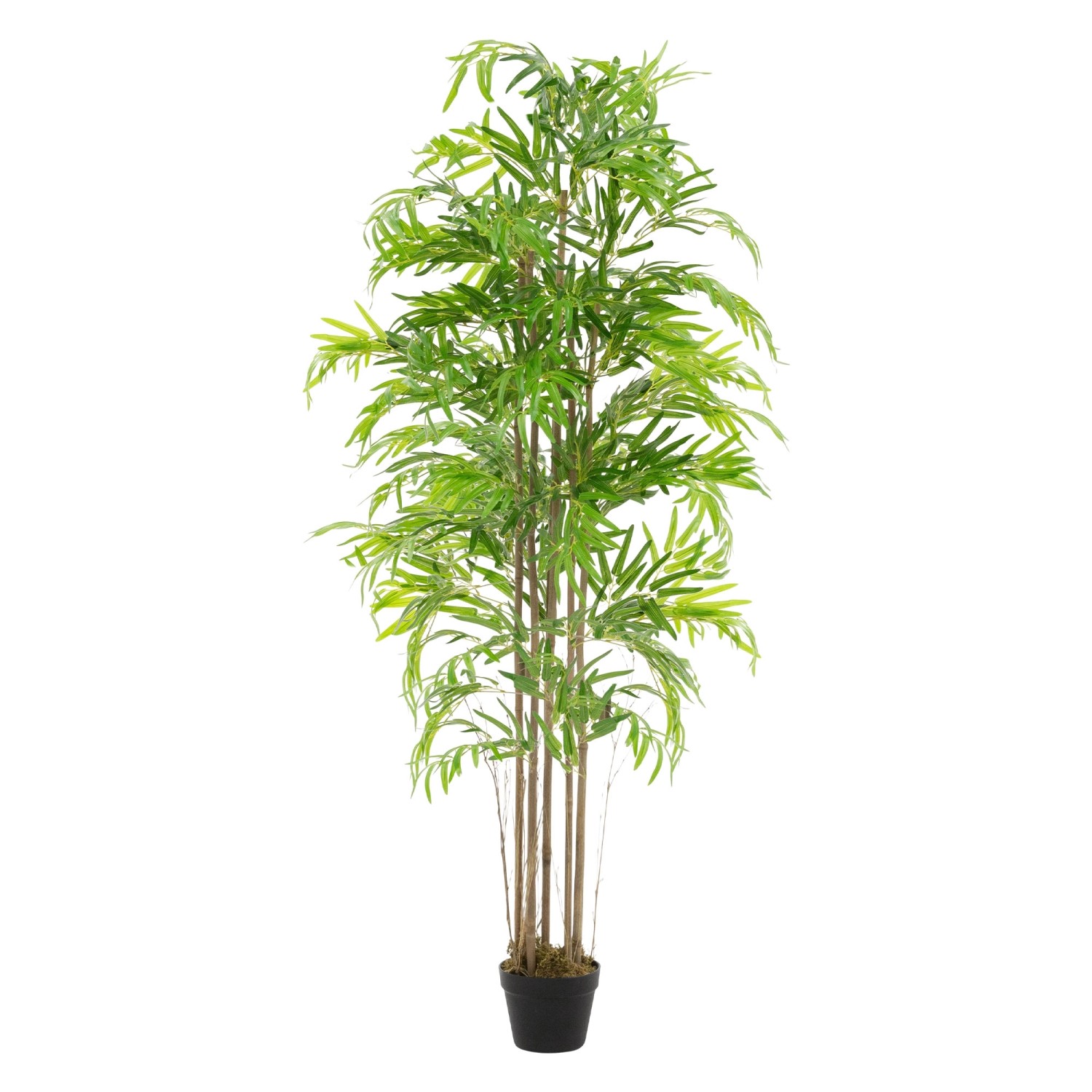 ML-Design Künstlicher Bambus 180cm Groß Kunstpflanze mit Echtholzstamm günstig online kaufen