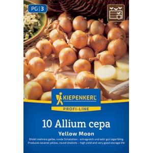Kiepenkerl Schalotte Yellow Moon, Gr. 7/15