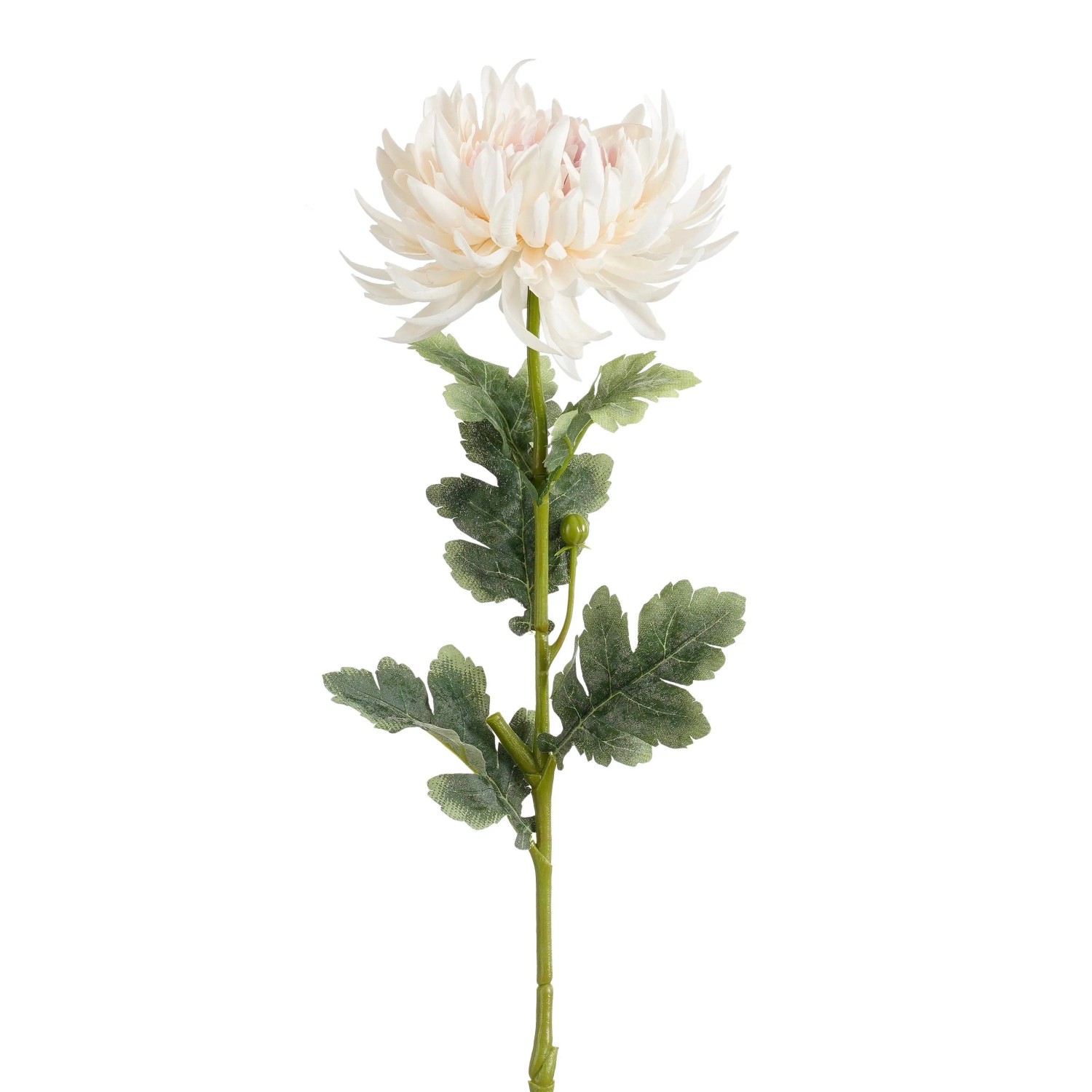 Mica Decorations Chrysantheme Creme 60 cm