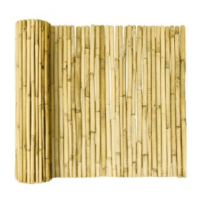 Sol Royal SolVision B99 Sichtschutzzaun 80x250cm Bambus Hell