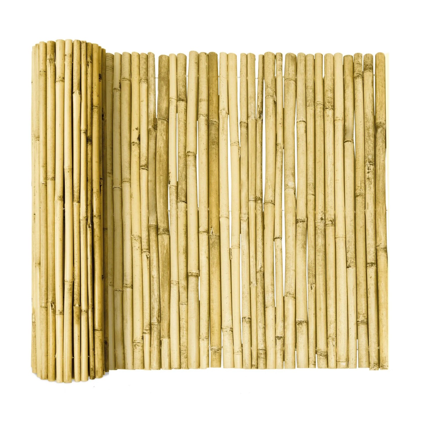 Sol Royal SolVision B99 Sichtschutzzaun 80x250cm Bambus Hell günstig online kaufen