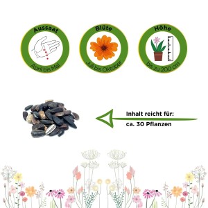 Sonnenblumen "Herbstschönheit" Samen: Aussaat, Blüte, Höhe und Inhalt für ca. 30 Pflanzen.