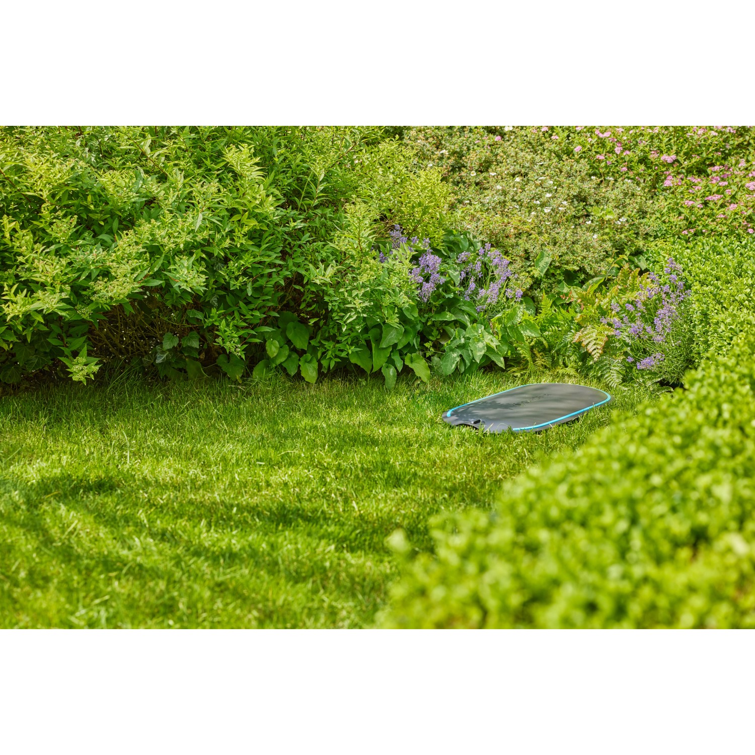 Gardena Undercover Schlauchbox RollUp M im Garten, versenkt im Rasen.