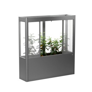 Biohort Gewächshaus Florentina Maxi, Quarzgrau-Metallic, mit Pflanzen.