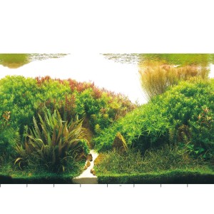 Hobby Fotorückwand: Üppige grüne Unterwasserlandschaft mit Pflanzen, Felsen und hellem Flusslauf für Aquarien.