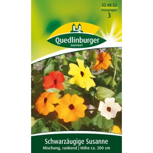 Samenpackung Schwarzäugige Susanne Mischung: Kletterpflanze mit bunten Blüten in Gelb, Orange, Rot und Weiß.