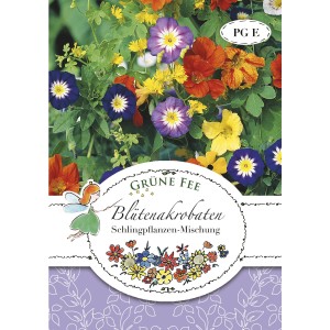 Grüne Fee Blütenakrobaten Schlingpflanzen-Mischung Saatgut Packung mit bunten Kletterblumen.
