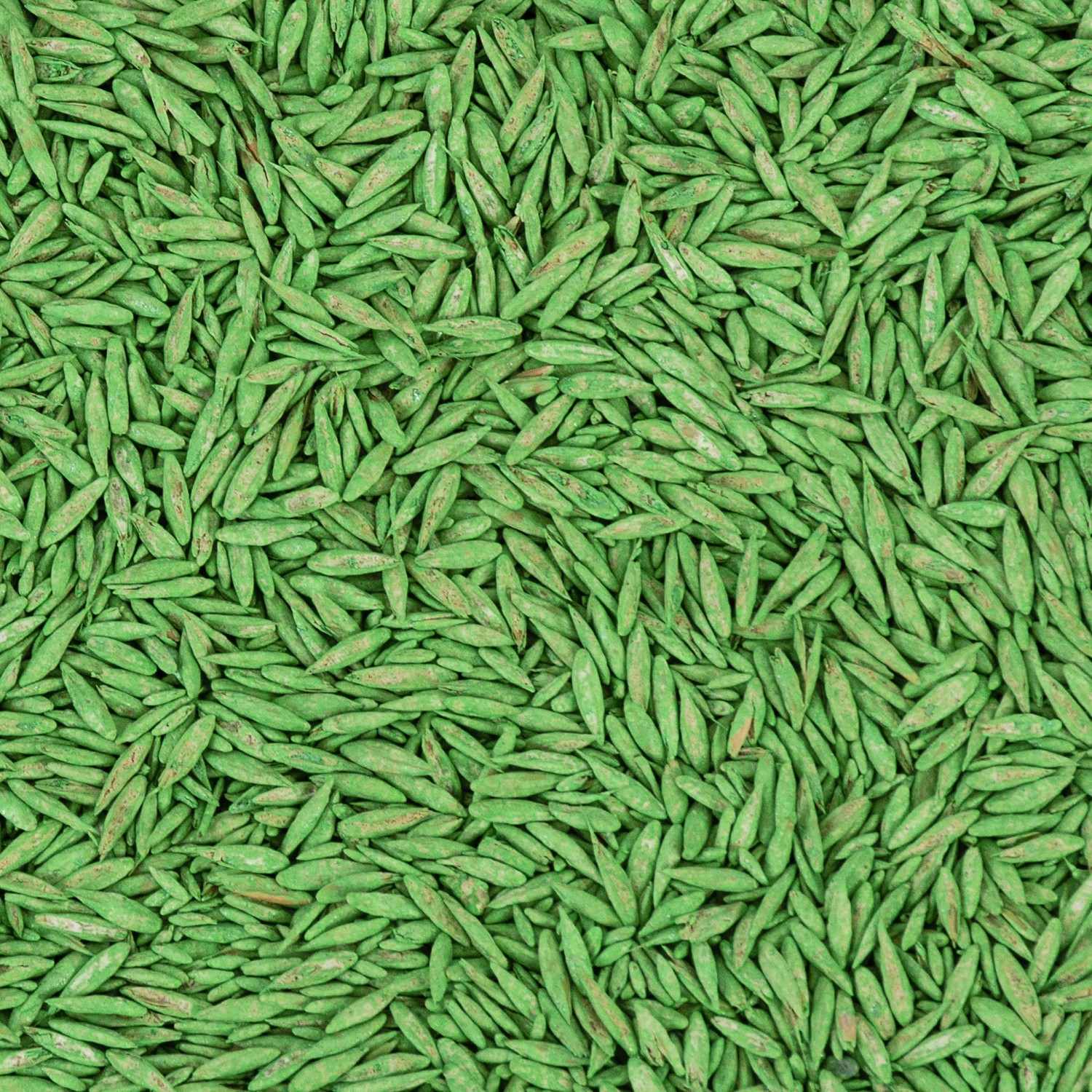 Compo Saat® Trocken-Rasen 2 kg für 80 m²_4