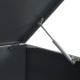 Detailansicht: Geöffnete Mülltonnenbox Anthrazit mit Gasdruckfeder für leichten Zugang.