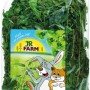 JR Farm Nager-Snacks Brennnessel, 80g Packung. Ergänzungsfutter für Nager.