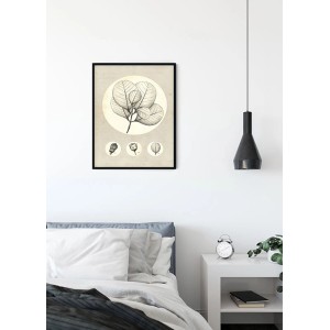 Komar Wandbild Transparent Leaf, 40x50 cm, Blätter-Motiv im schwarzen Rahmen.