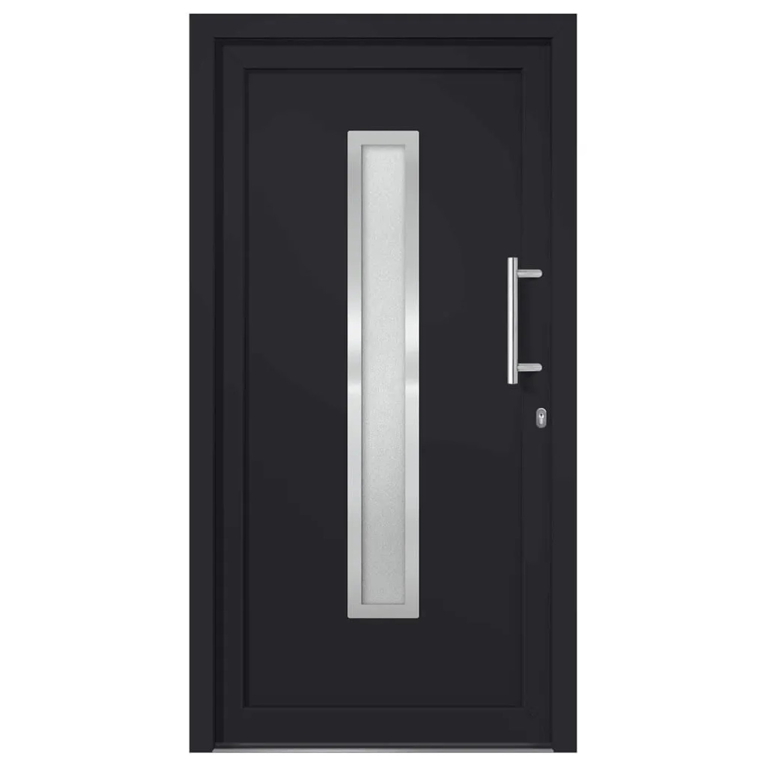 vidaXL Haustür Anthrazit 98x208 cm 279244