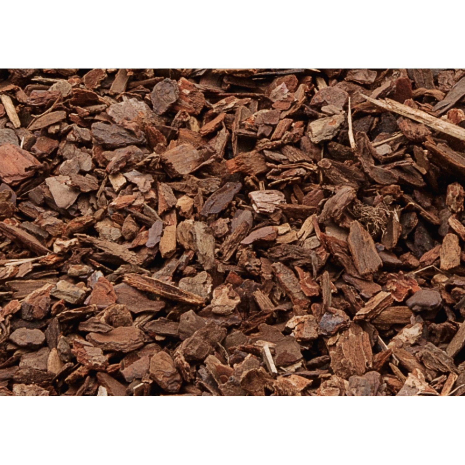 Nahaufnahme von OBI Pinienrinde Mittel, ideal zur Beetabdeckung und Unkrautreduktion im Garten.