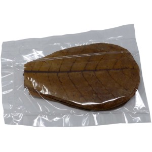 Proflora Nano Blätter Terminalia Catappa, 12 Stk. zur Wasserwertkorrektur im Aquarium.