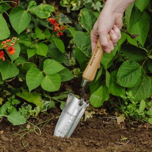 Kent & Stowe Pflanzkelle aus Edelstahl mit Tiefenmarkierung im Einsatz beim Pflanzen im Garten.