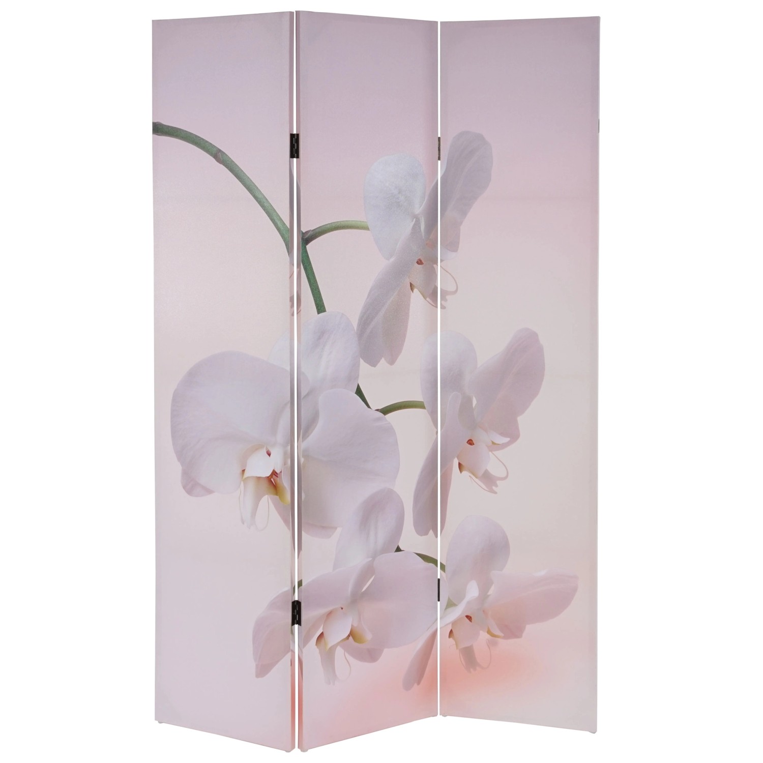 MCW Foto-Paravent Bagheria Orchidee günstig online kaufen