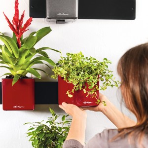 Lechuza Magnethalter in Schwarz mit roten Pflanztöpfen an einer Wand montiert.