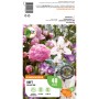 GROW by OBI Duft-Kollektion Blumenzwiebeln mit rosa Pfingstrose und Lilien.